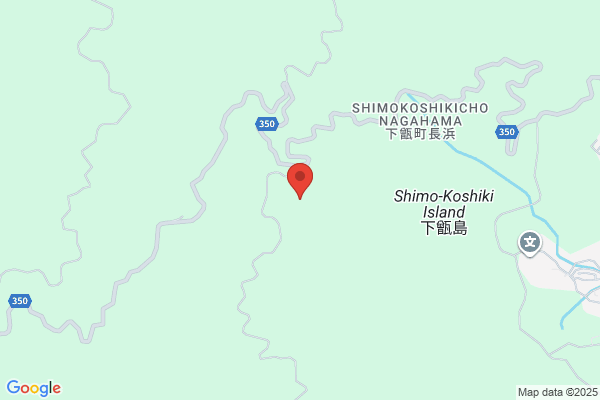 カイロプラクティック・江里口院