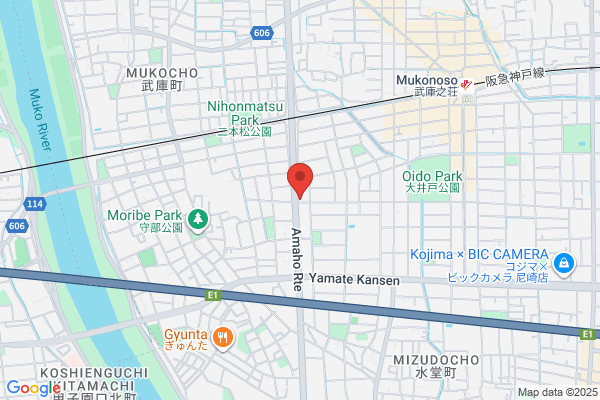 PRO BASKETBALL SHOP PLAYHOOP