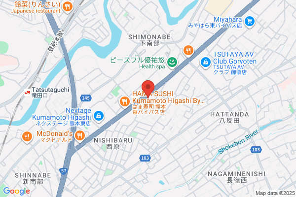 Best Denki Higashi Bypass-ten