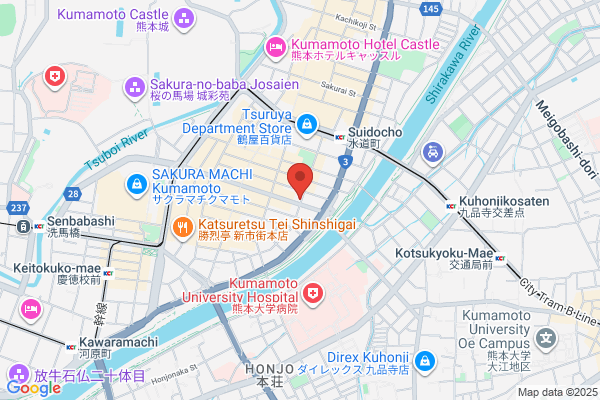 Kumamoto Family Service Co Ltd