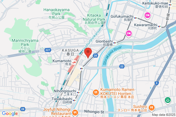 Kumamoto Station Hotel