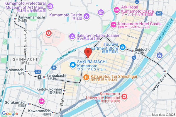Shin Kumamoto Hotel