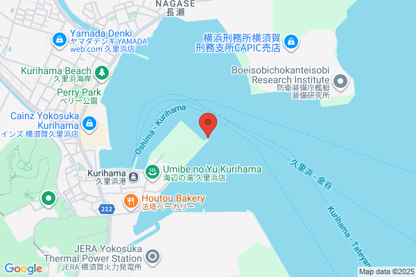 鍼灸整体 Lighthouse