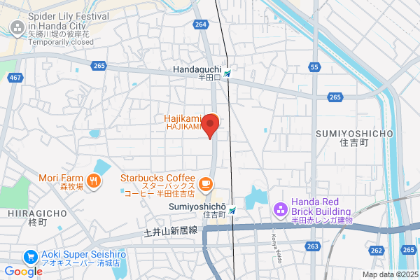 ゲオ半田店