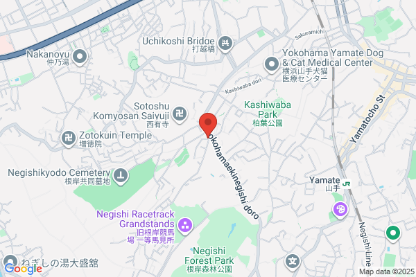 山本整形外科