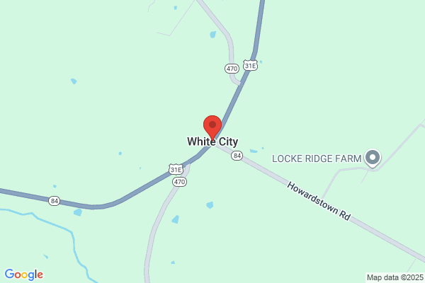 WITH THE WHITE