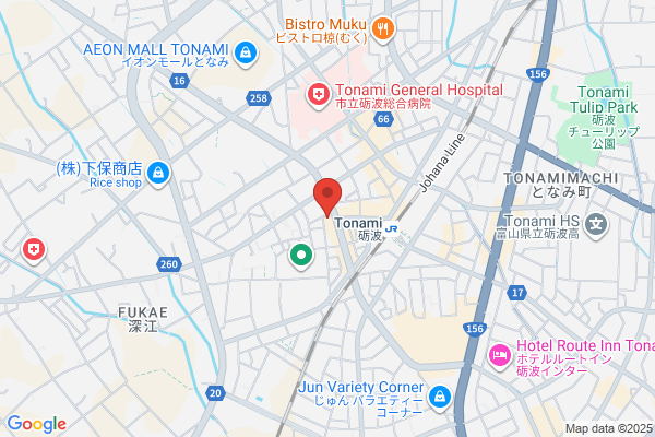 Business Hotel Tonami