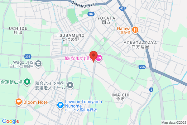 Namazu Daiichi Onsen Fujinoya