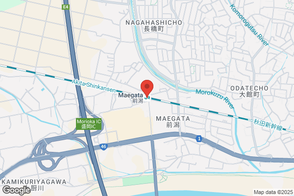 ゲオ盛岡月が丘店