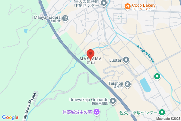 串カツ田中 池下店