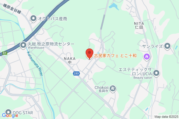 コッチカフェ cotchicaffe