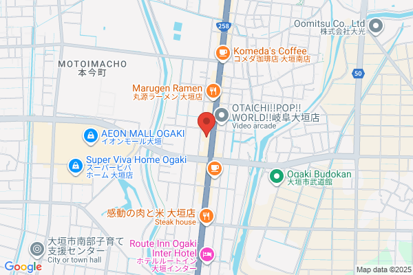 ゲオ大垣築捨店