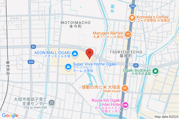 ジョーシン大垣イオンモール店