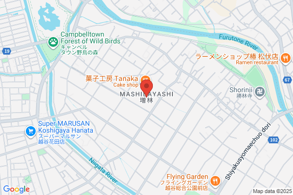 ゲオ北越谷店