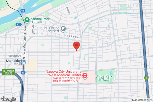ゲオ名古屋大野木店