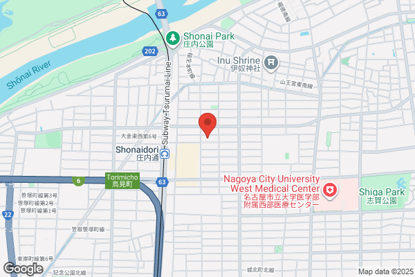 ゲオ萩野通店