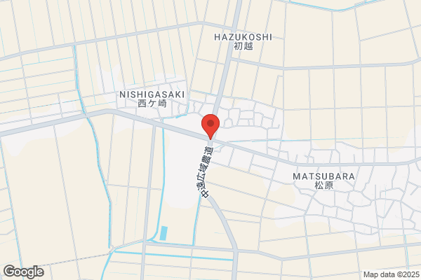 ゲオ弘前安原店
