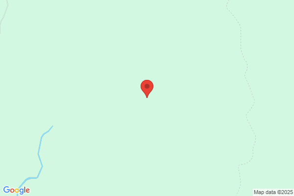 鉄板焼きダイニング　CARMIA（カルミア）