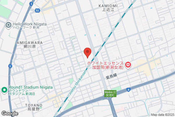 かみやま薬局