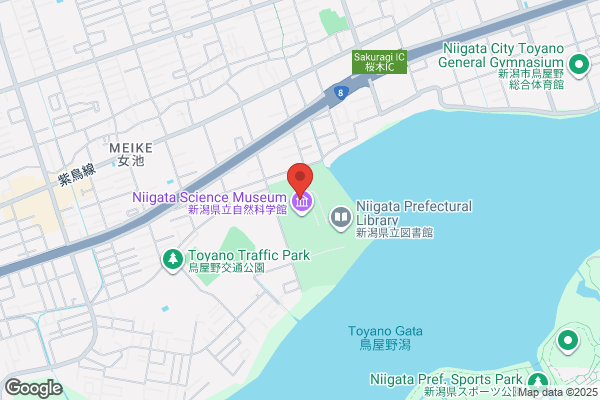 ノジマ イトーヨーカドー丸大新潟店