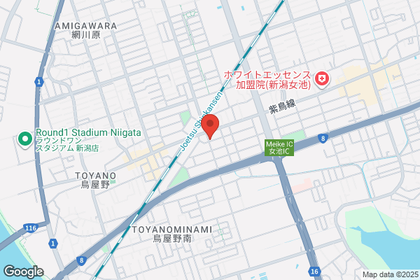 小新白鳥薬局