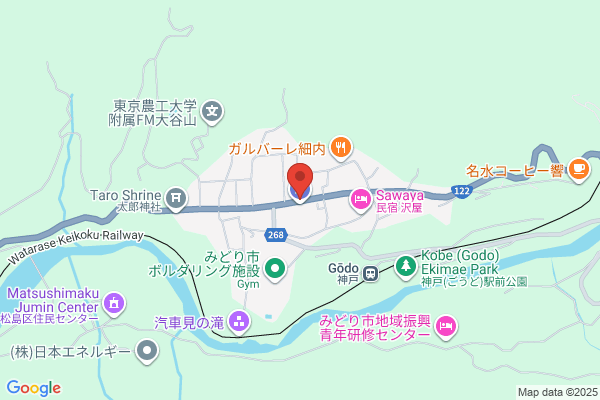 ENEOSウイング 富士インター TS