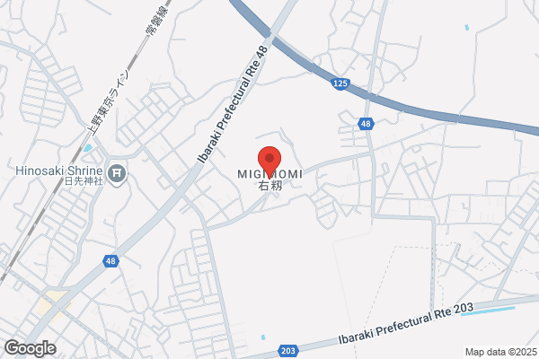 ほけんの窓口 西友ひたち野うしく店