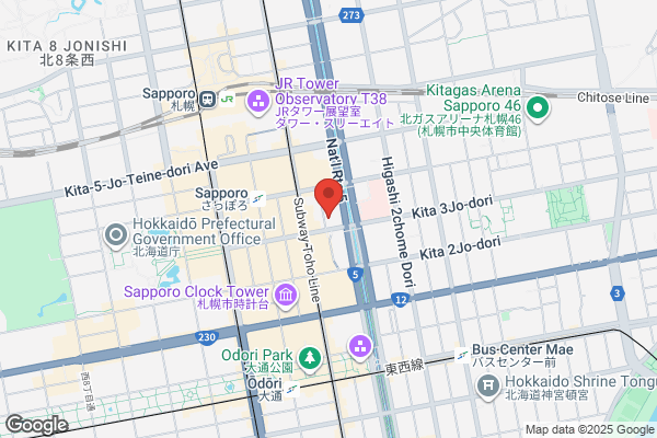 東横INN札幌すすきの南 - CLOSED