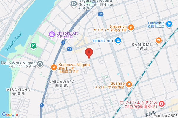 すき家 新潟女池店