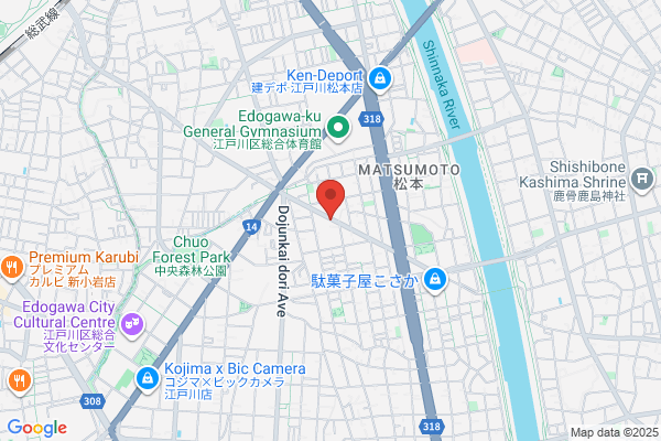 アリエールLAUNDRY PRO ウエルシア江戸川松本店