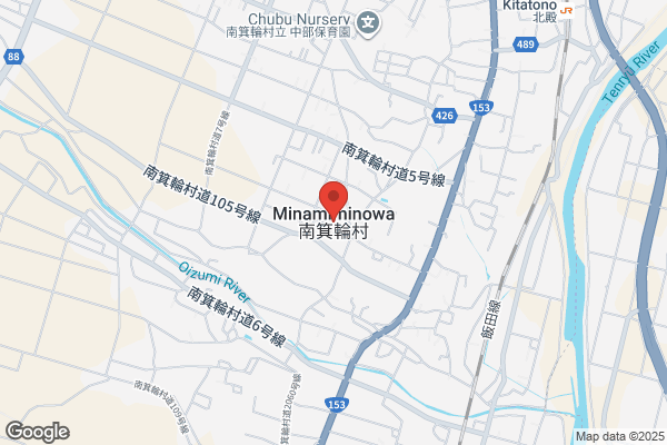 ゲオ伊那福島店