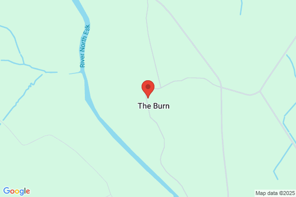 The Burn