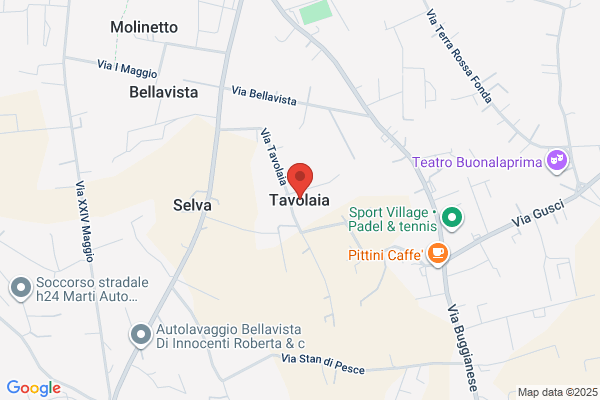 TAVOLA310