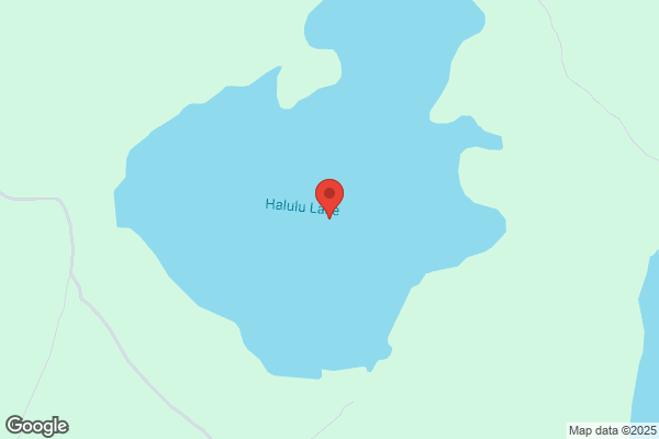 スタジオアリスHALULU マークイズ福岡ももち店