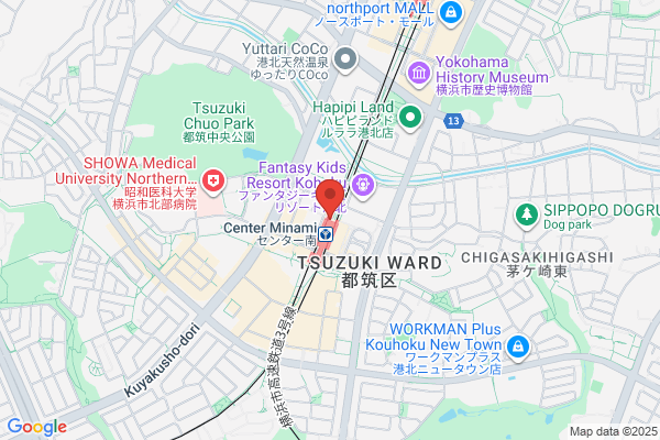 PUDOステーション　トライアル　スーパーセンター摂津南店