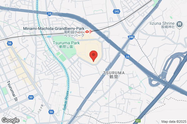 IPPUDO RAMEN EXPRESS 南町田グランベリーパーク店