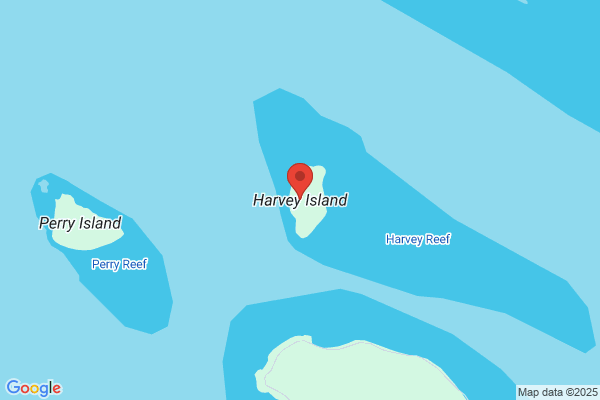 HARVEY株式会社