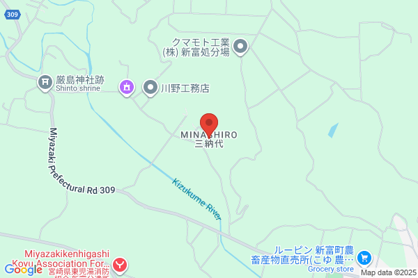 ゲオ佐土原店