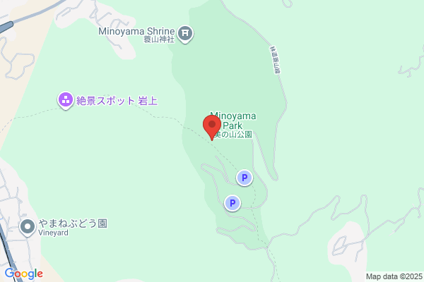 炭火焼鳥 杉の屋