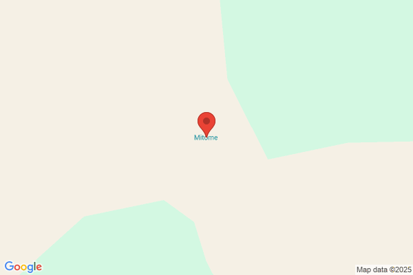 博多若鳥