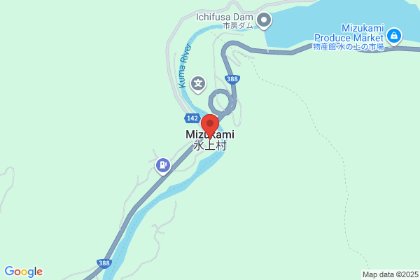 虫鳥王