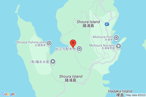 はり灸院 COCORO