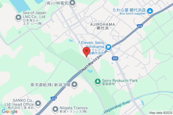 ペッパーランチPLUS アリオ鳳店
