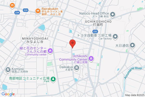 ダイアナ fiL