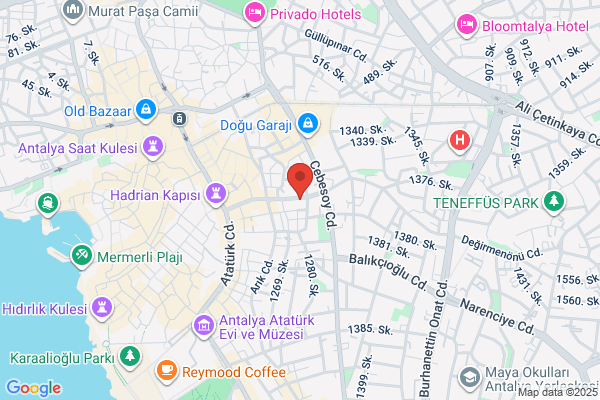 ヤマト運輸 東大阪花園営業所（東大阪玉串東）