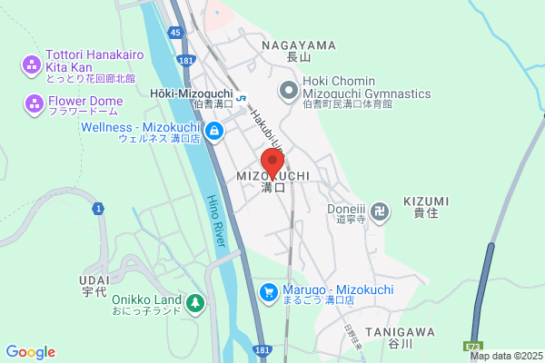 ドミノ・ピザ総社駅南店