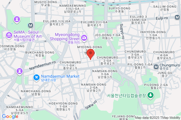 東横INN京都二条城南