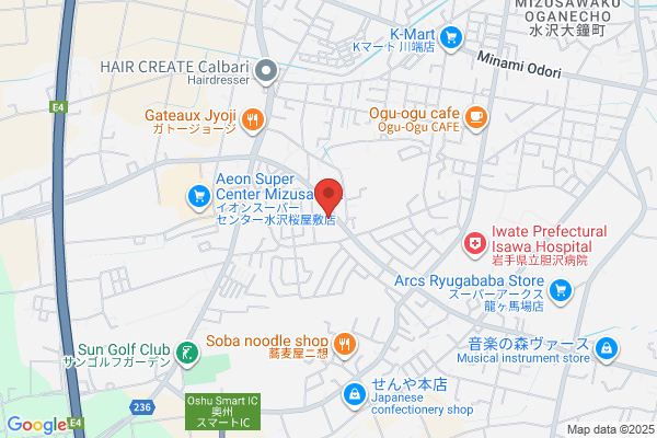 ウエルシア水沢桜屋敷店 (調剤薬局)