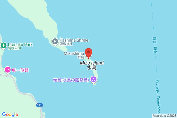 くすりのレデイ 鶴新田店