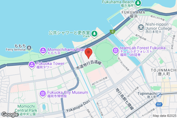 LACOSTE MARK IS 福岡ももち店-CLOSED